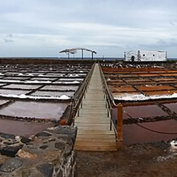 Nyoman Ayu Carmenita